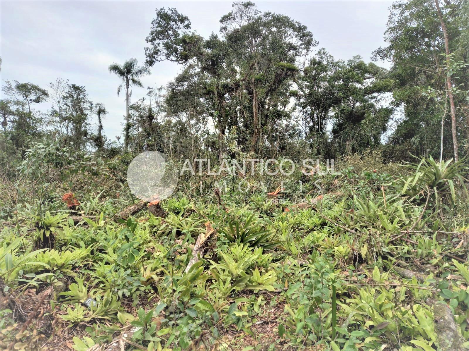 Paraná - Matinhos, PRAIA GRANDE , Área | Lote Urbano, (Venda)