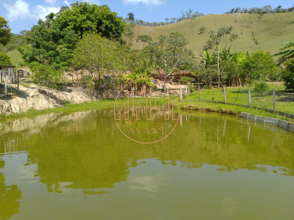 Sítio à venda na Serra da Mantiqueira em Monteiro Lobato