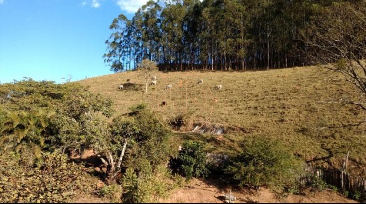 LINDO SÍTIO NA ZONA RURAL DE JACAREÍ