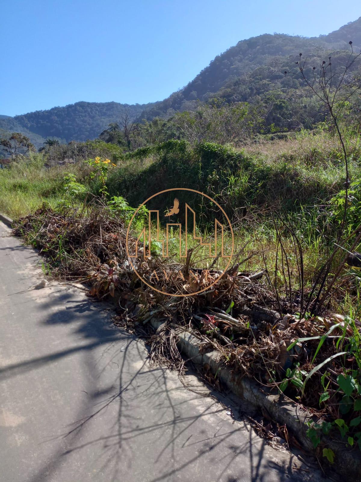 Lotes a 300 metros na Praia do Sapê em Ubatuba -SP