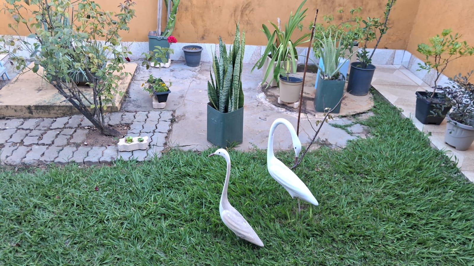 Casa à venda com 2 quartos, 200m² - Foto 4