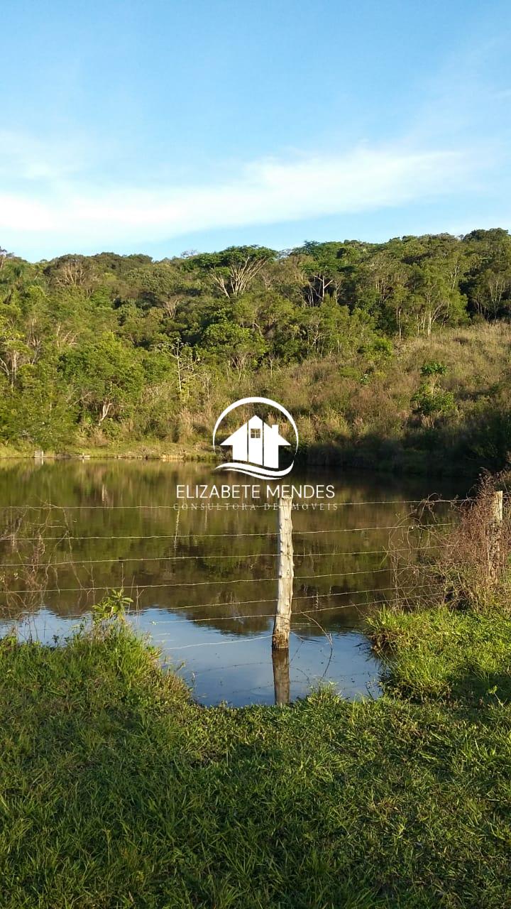 Fazenda à venda com 3 quartos, 700m² - Foto 5