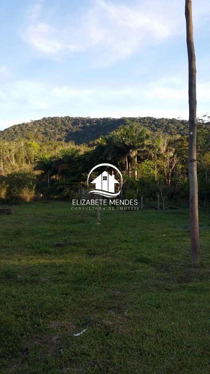 Fazenda à venda com 3 quartos, 700m² - Foto 7