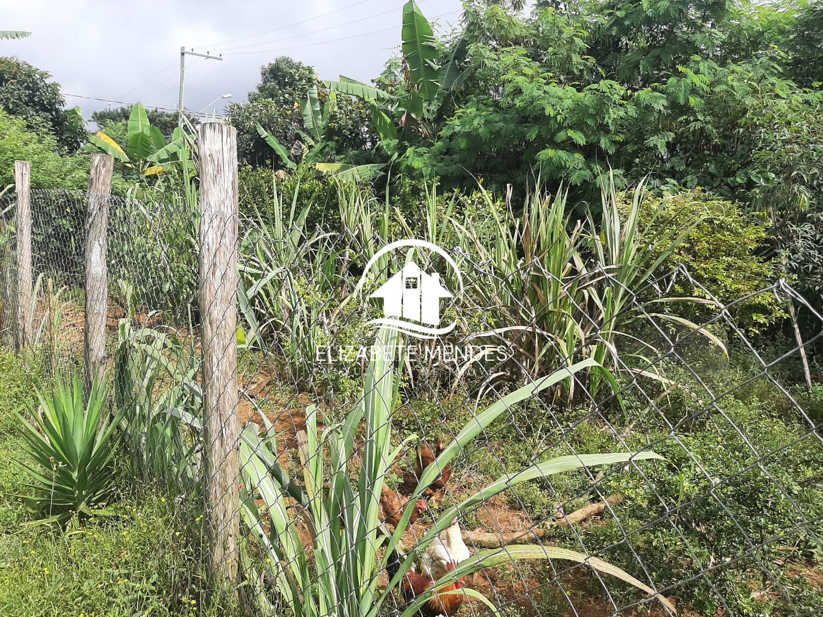 Fazenda à venda com 3 quartos, 220m² - Foto 11