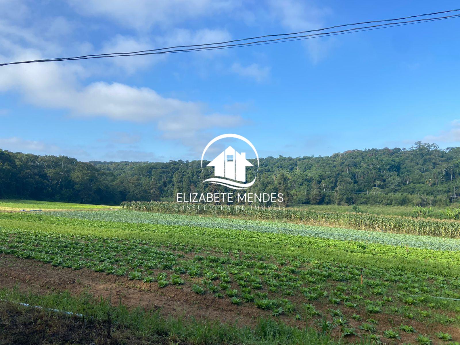 Terreno à venda, 194153m² - Foto 1