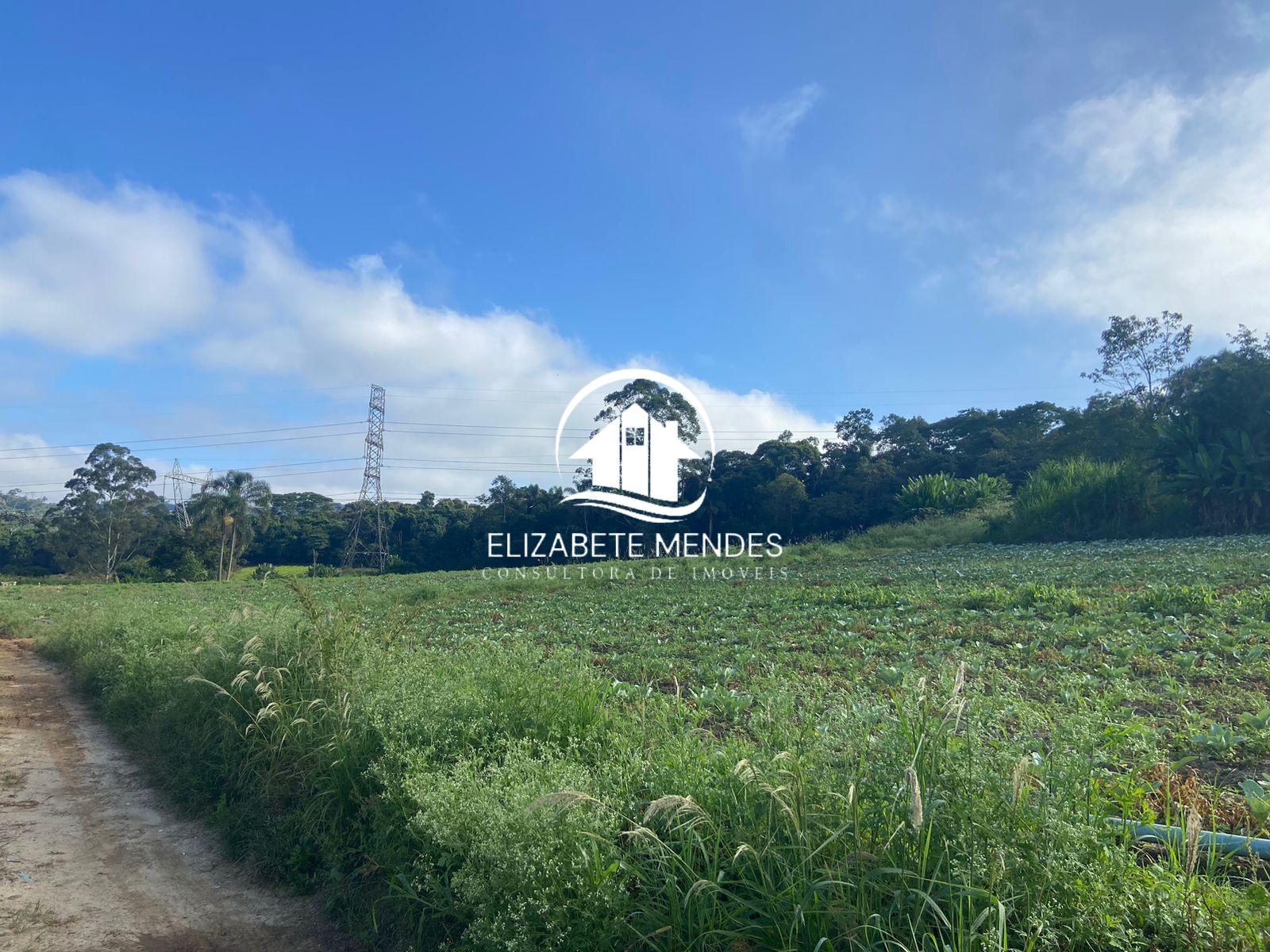 Terreno à venda, 194153m² - Foto 4