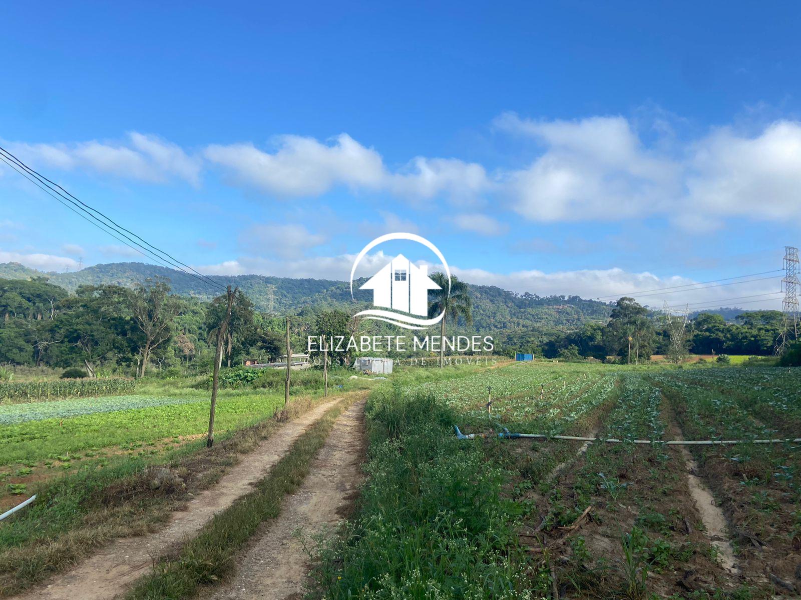 Terreno à venda, 194153m² - Foto 5