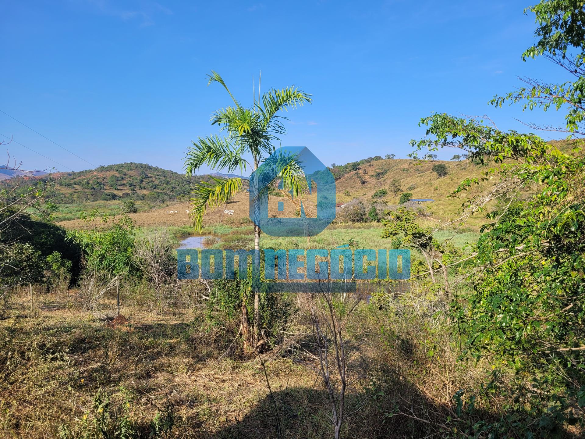 Sítio com 5 alqueires, casa sede e riacho à venda, Chonin De C...