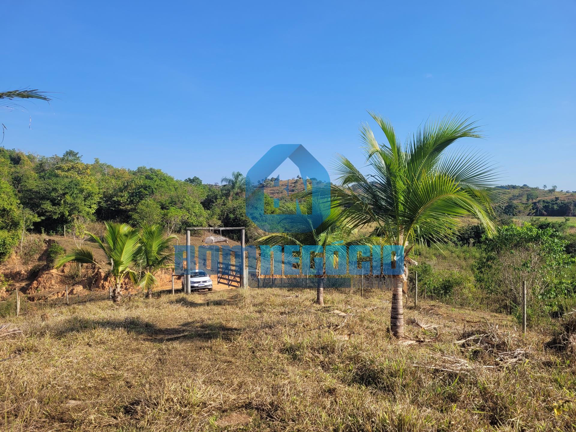 Sítio com 5 alqueires, casa sede e riacho à venda, Chonin De C...