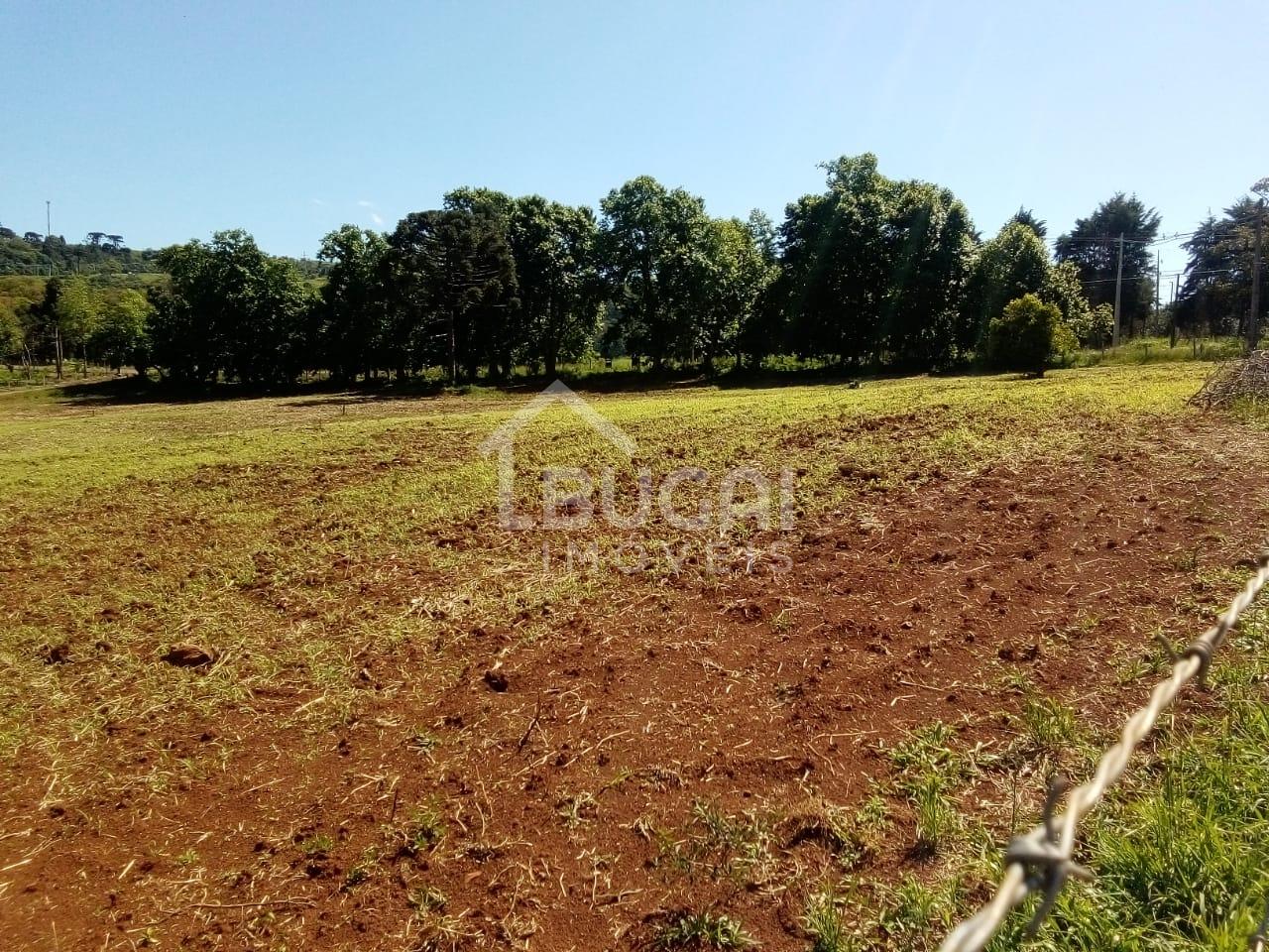 TERRENO URBANO NA VILA JORDO