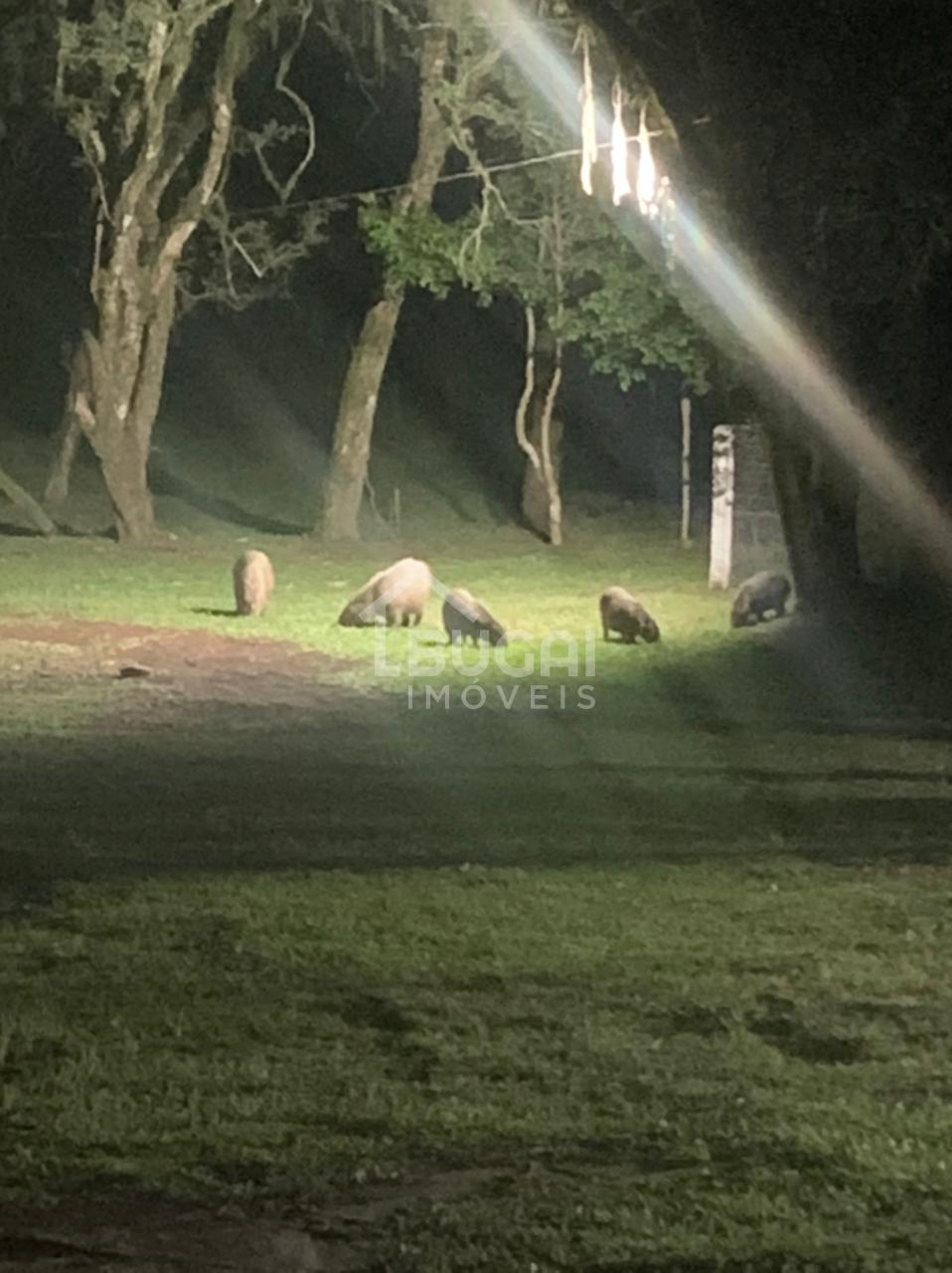 Bugai Imóveis em Guarapuava