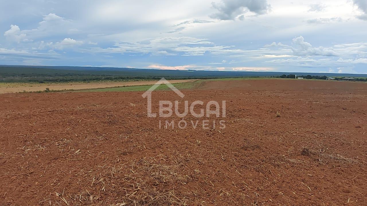 FAZENDA A VENDA NA REGIO SAPEZAL E CAMPO NOVO DO PARECIS MT