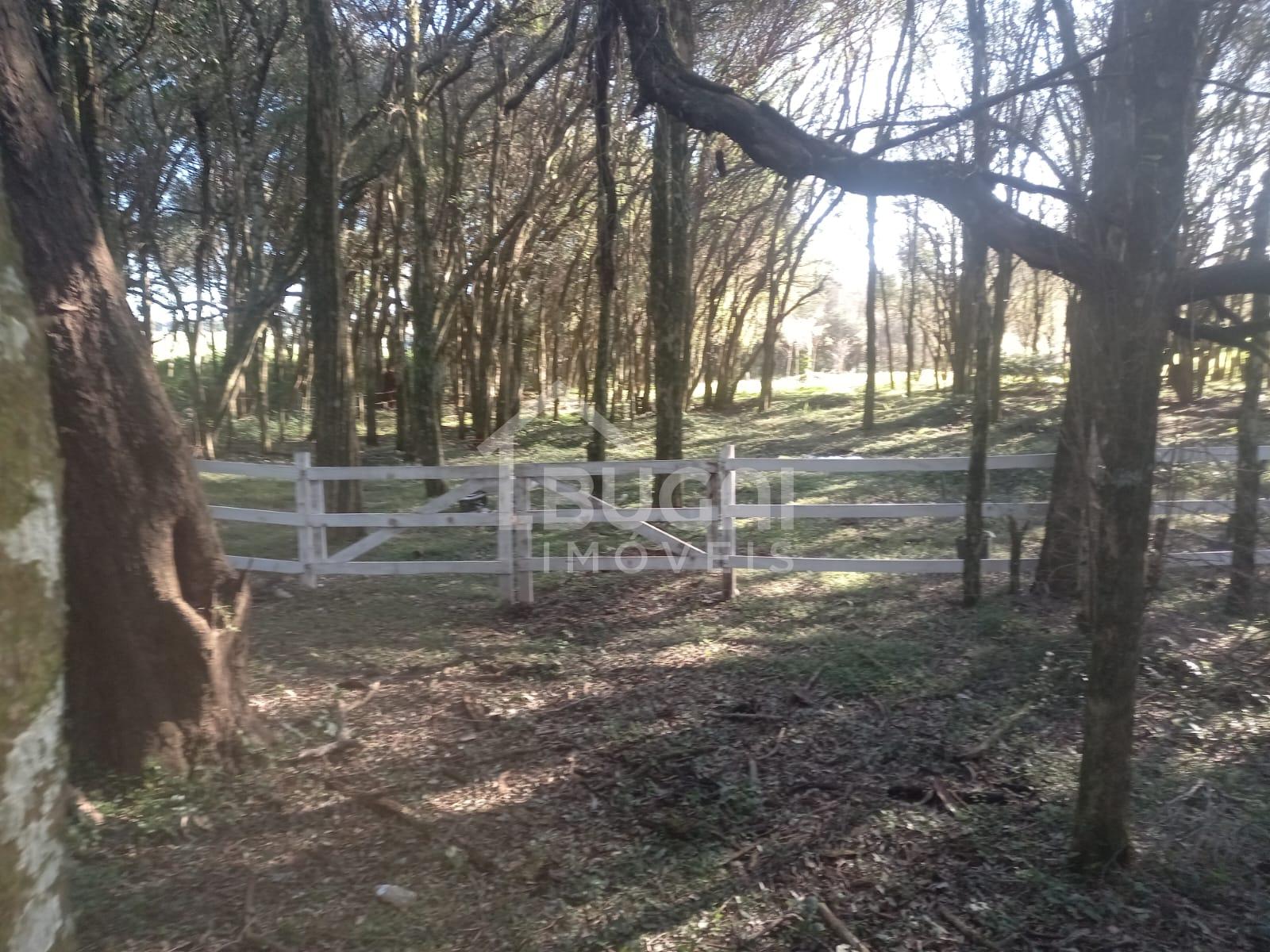 TERRENO NA COLONIA JORDOZINHO, EXCELENTE OPORTUNIDADE DE NEGCIO.