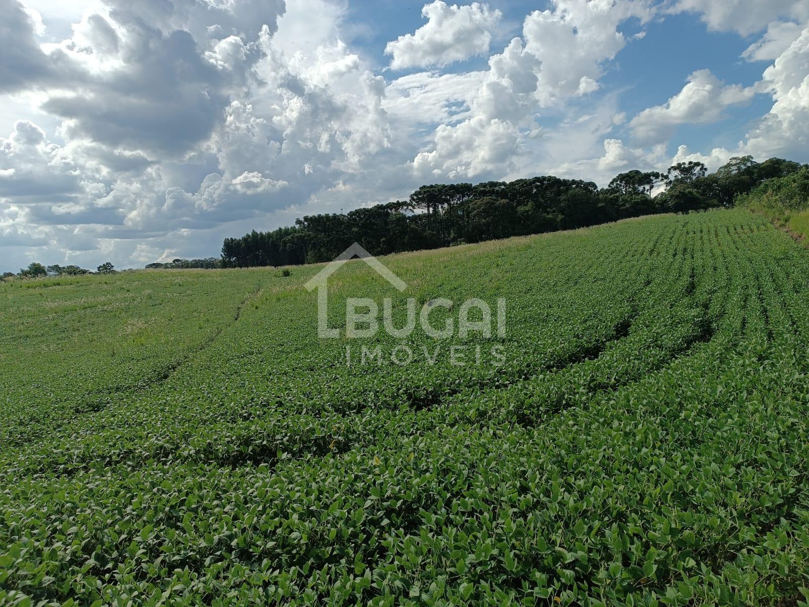 Bugai Imóveis em Guarapuava