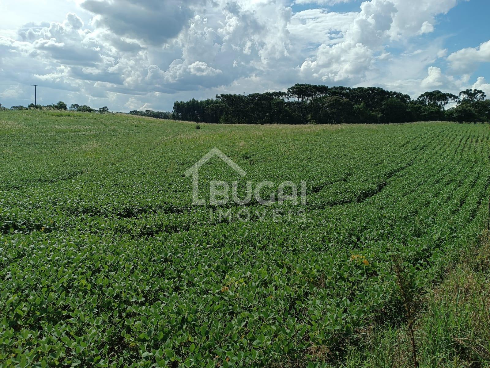 Bugai Imóveis em Guarapuava