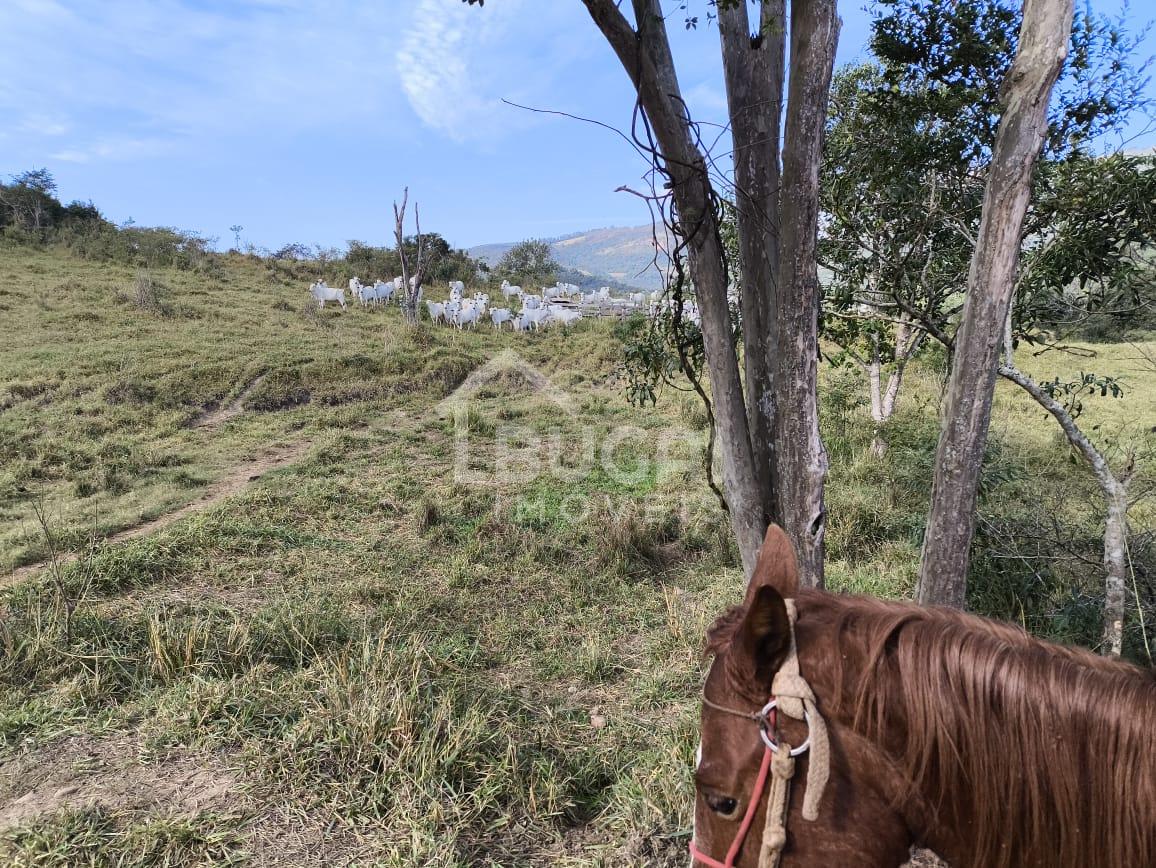 Bugai Imóveis em Guarapuava