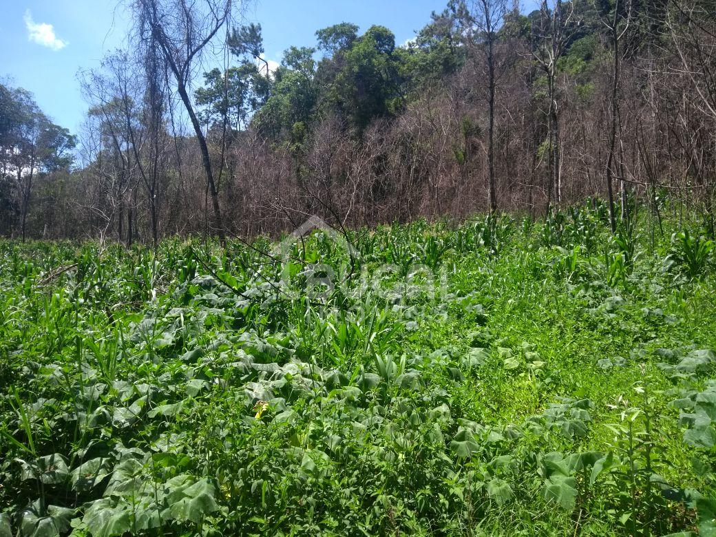 Bugai Imóveis em Guarapuava