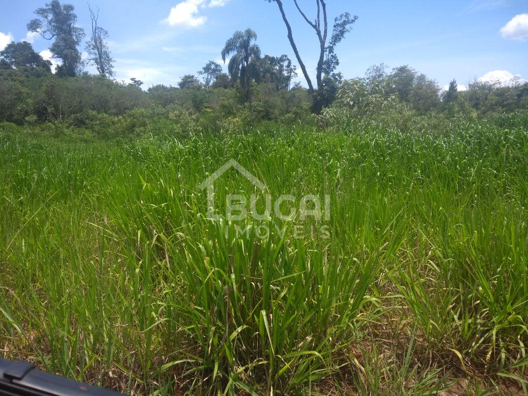 Bugai Imóveis em Guarapuava