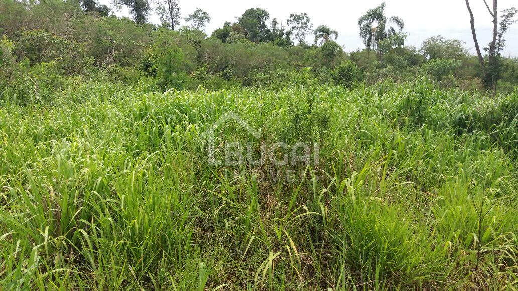 Bugai Imóveis em Guarapuava