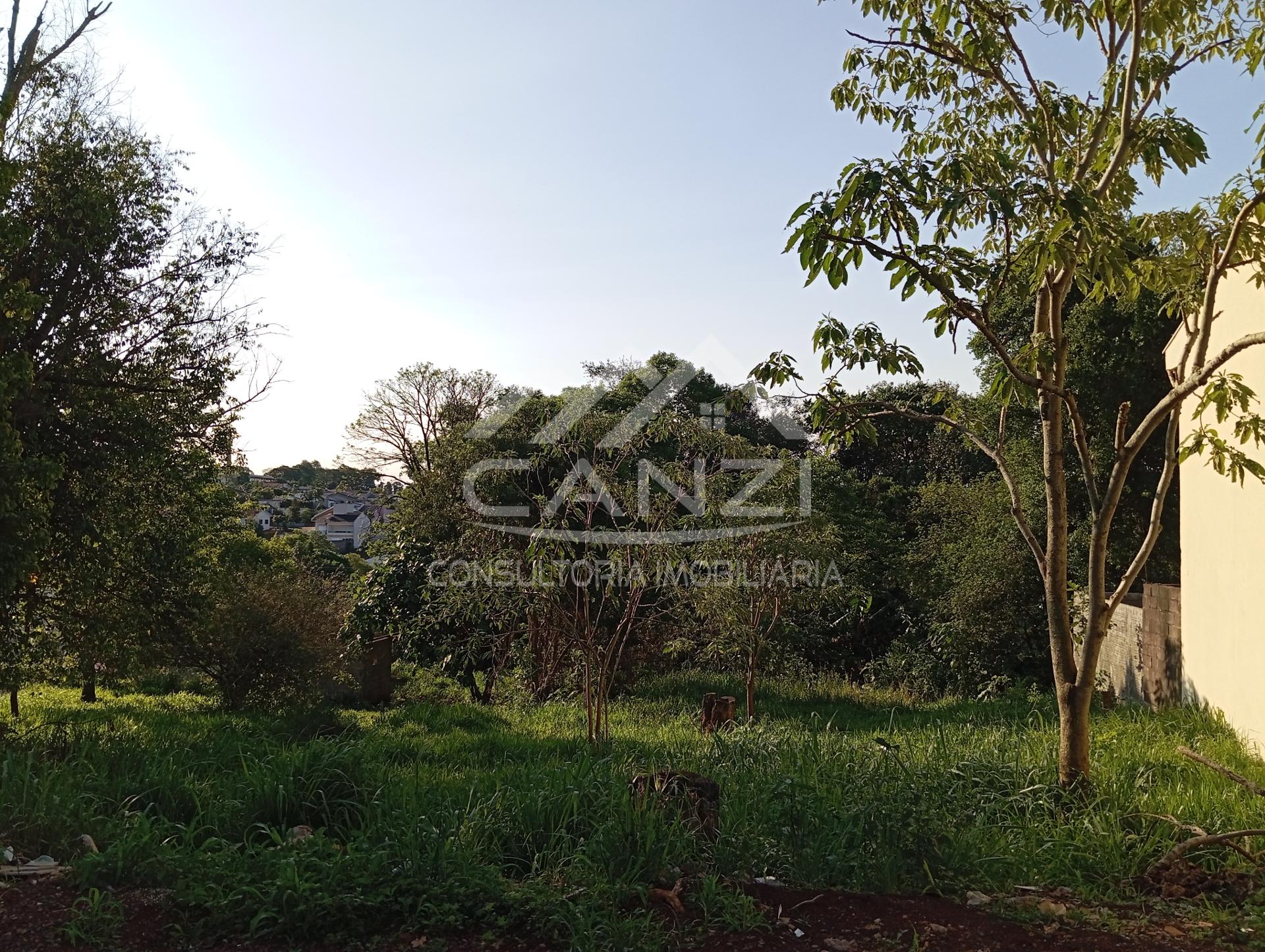 Canzi Consultoria Imobiliria em Realeza PR