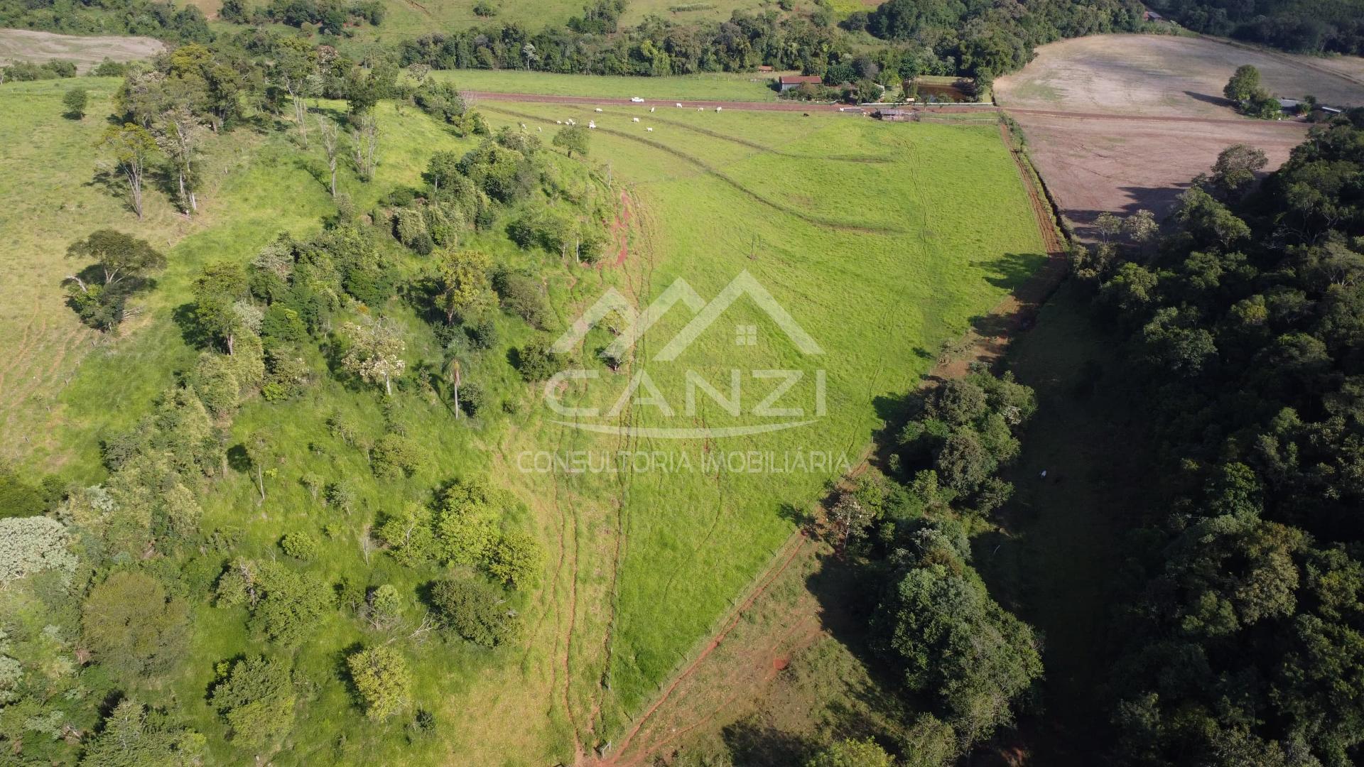 Canzi Consultoria Imobiliria em Realeza PR