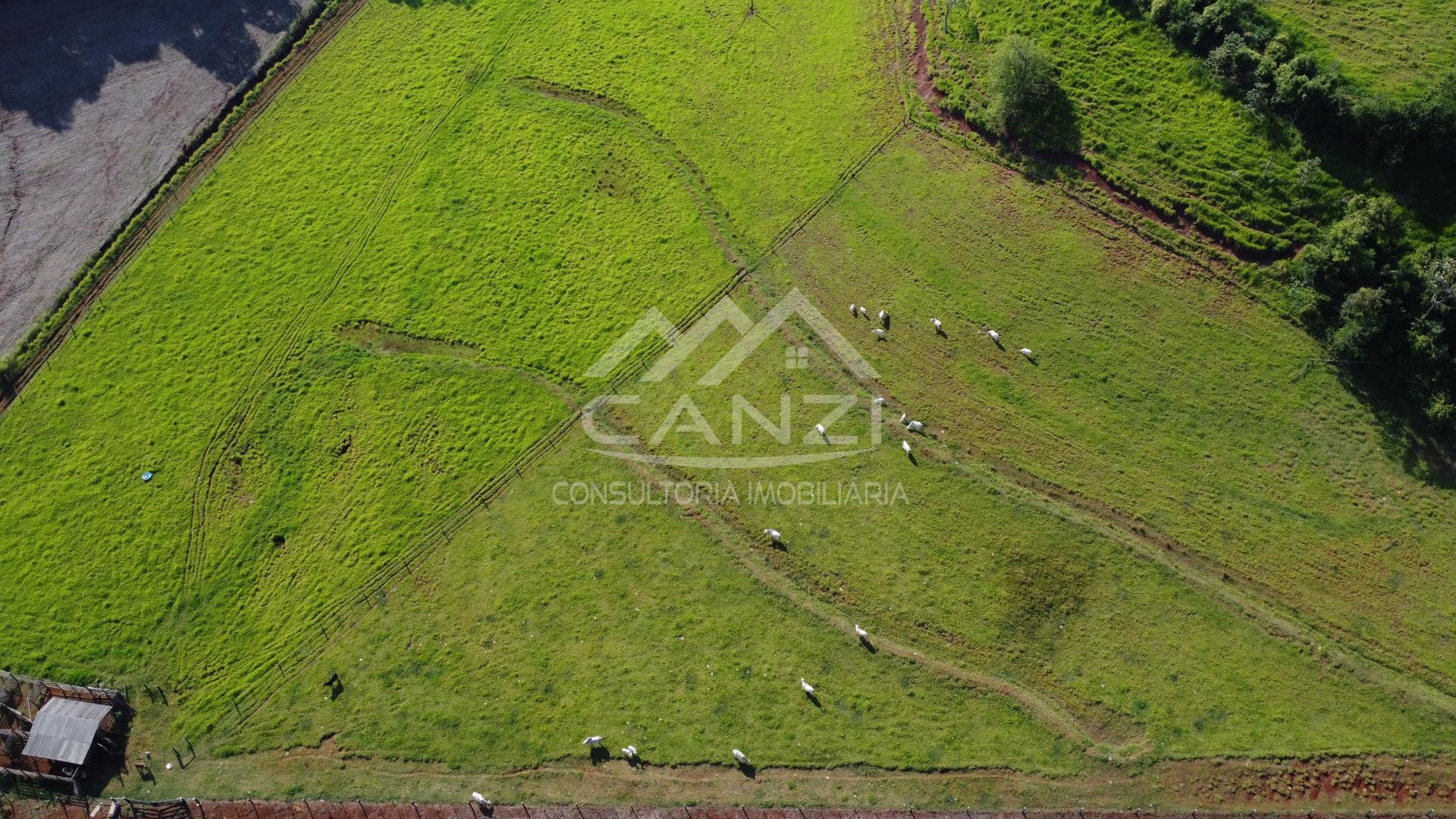 Canzi Consultoria Imobiliria em Realeza PR