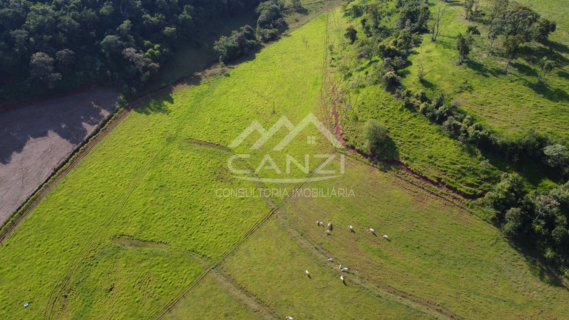 Canzi Consultoria Imobiliria em Realeza PR