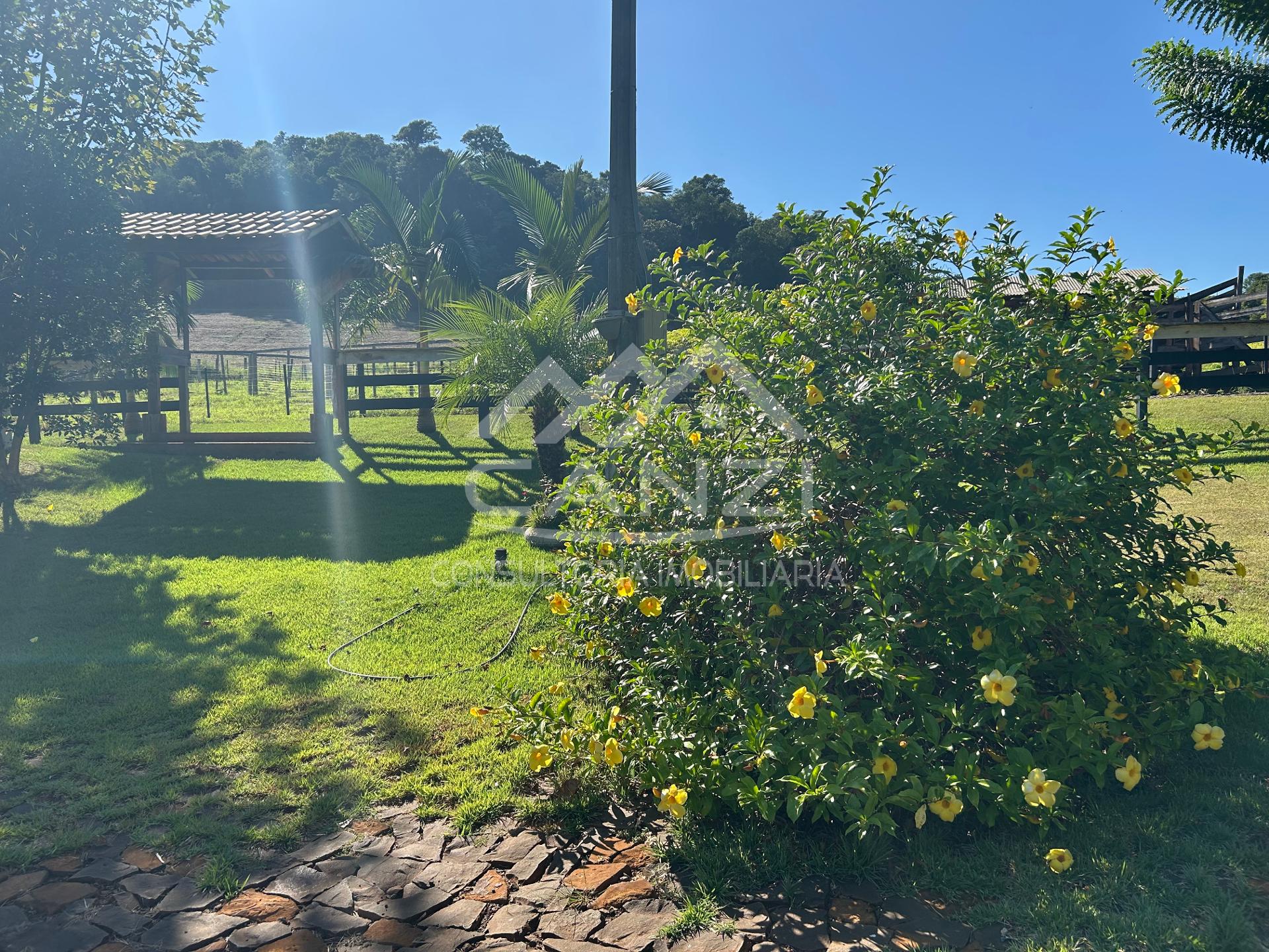 Canzi Consultoria Imobiliria em Realeza PR
