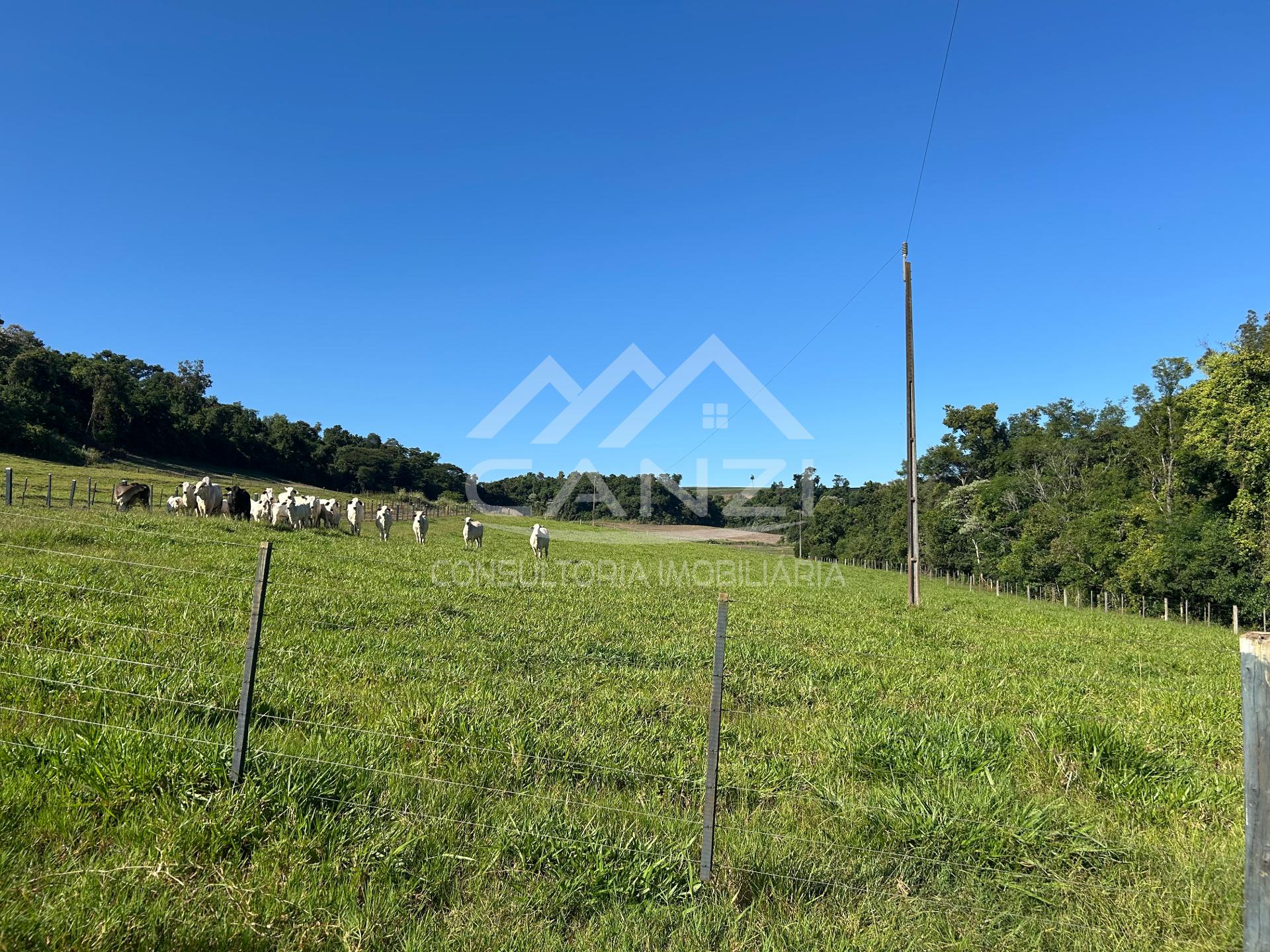 Canzi Consultoria Imobiliria em Realeza PR