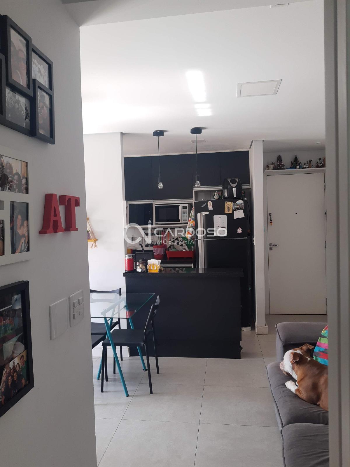 Apartamento 50 m   2 dorm. sendo 1 suíte e 2 vagas- Carandiru