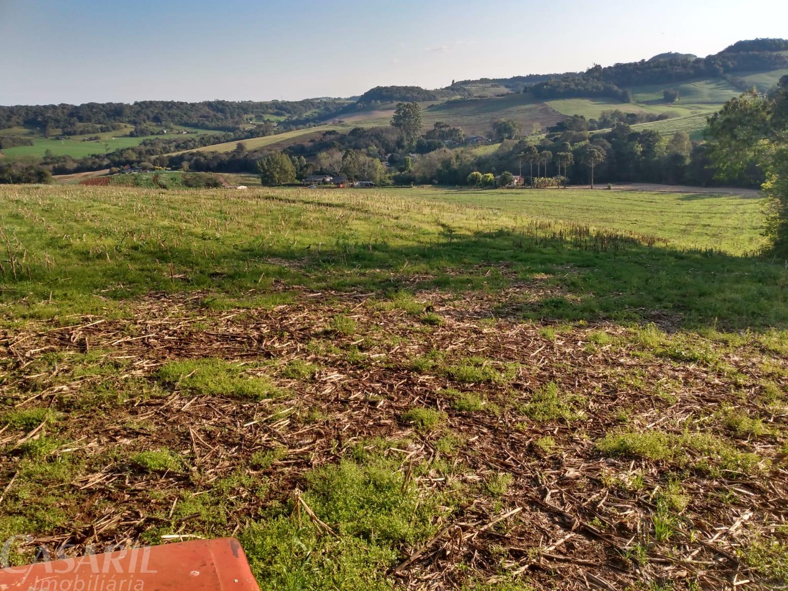 Investimento: Propriedade Rural À Venda No Interior De Francisco Beltrao - Pr