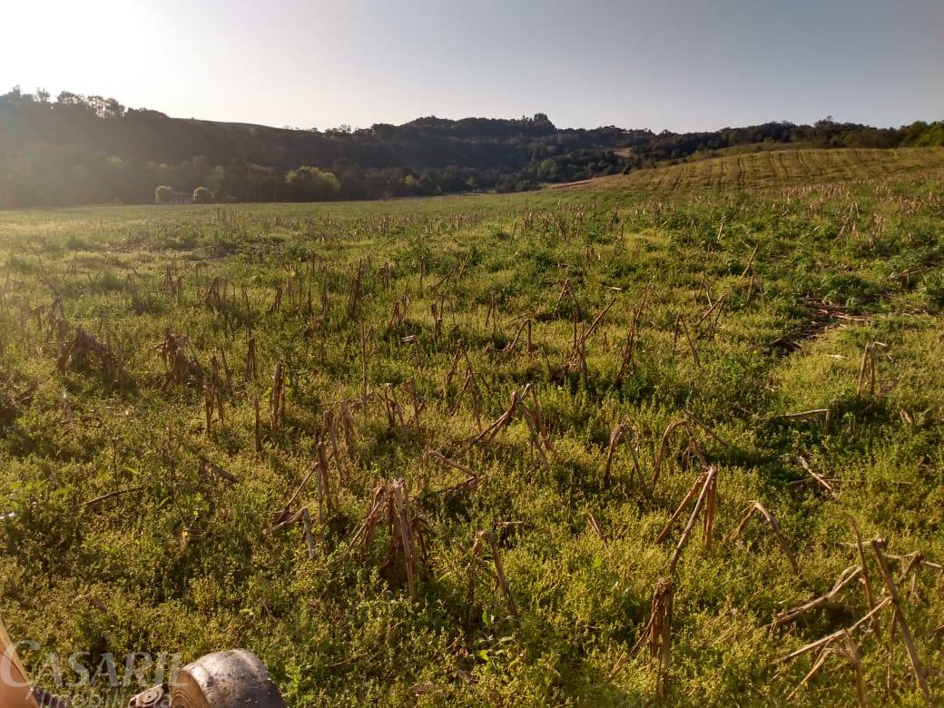 Investimento: Propriedade Rural À Venda No Interior De Francisco Beltrao - Pr