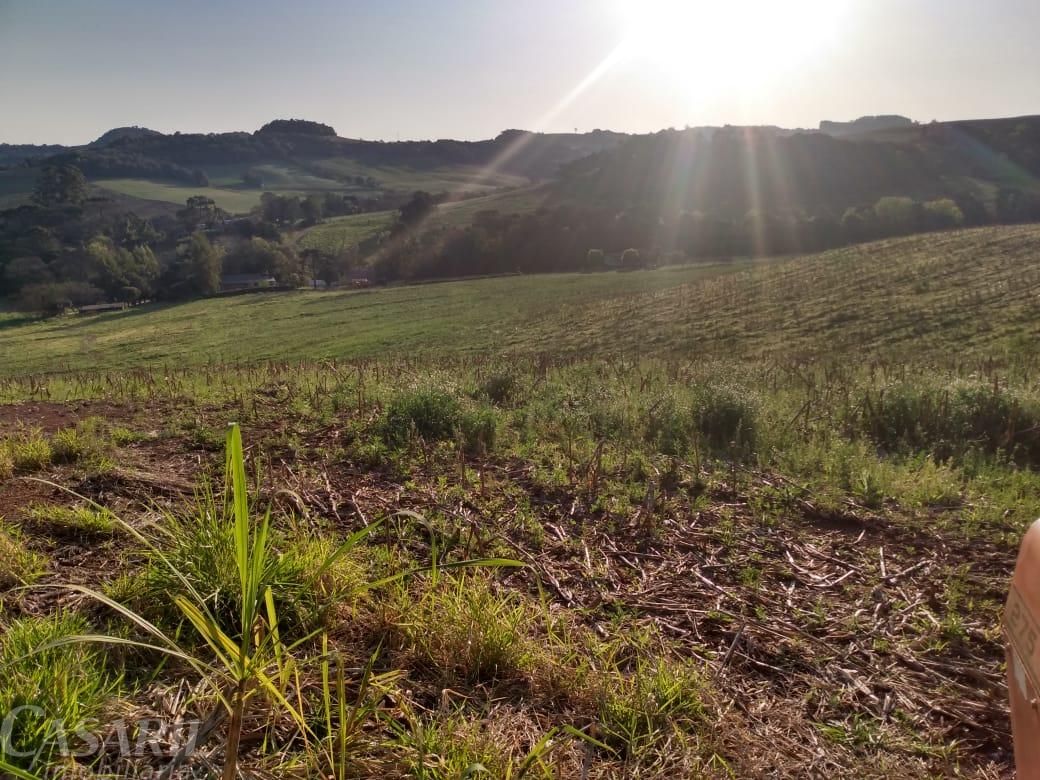 Investimento: Propriedade Rural À Venda No Interior De Francisco Beltrao - Pr