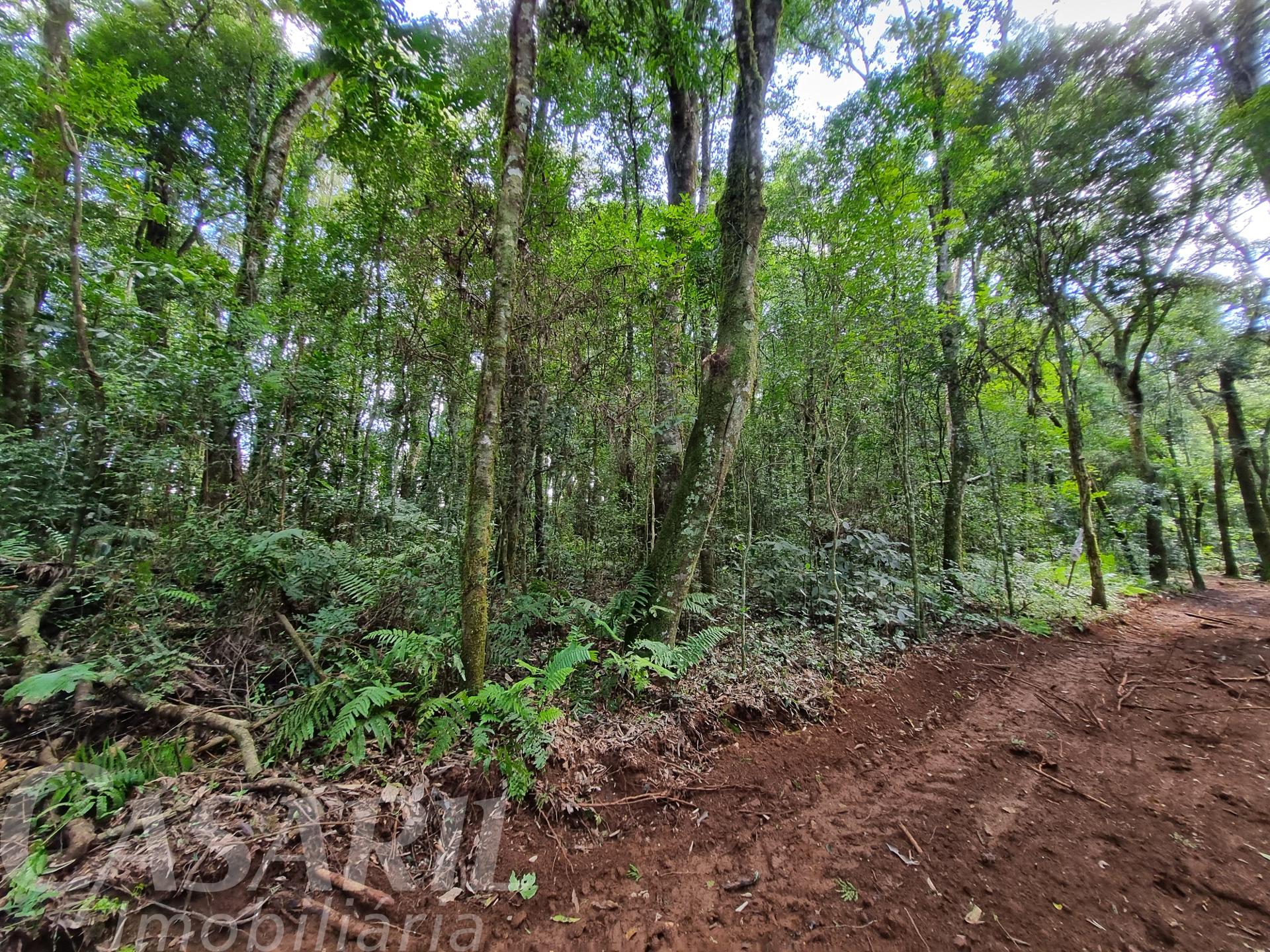 Vieira Imveis em Francisco Beltro PR