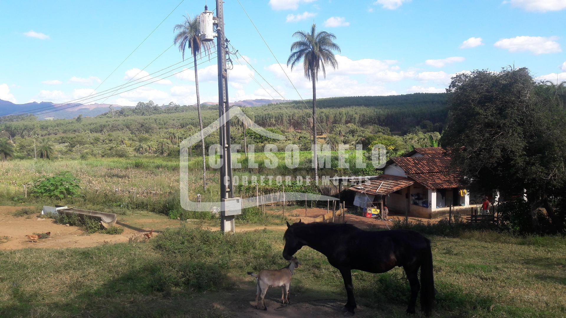 Celso Melo Corretor de Imveis em Bom Despacho