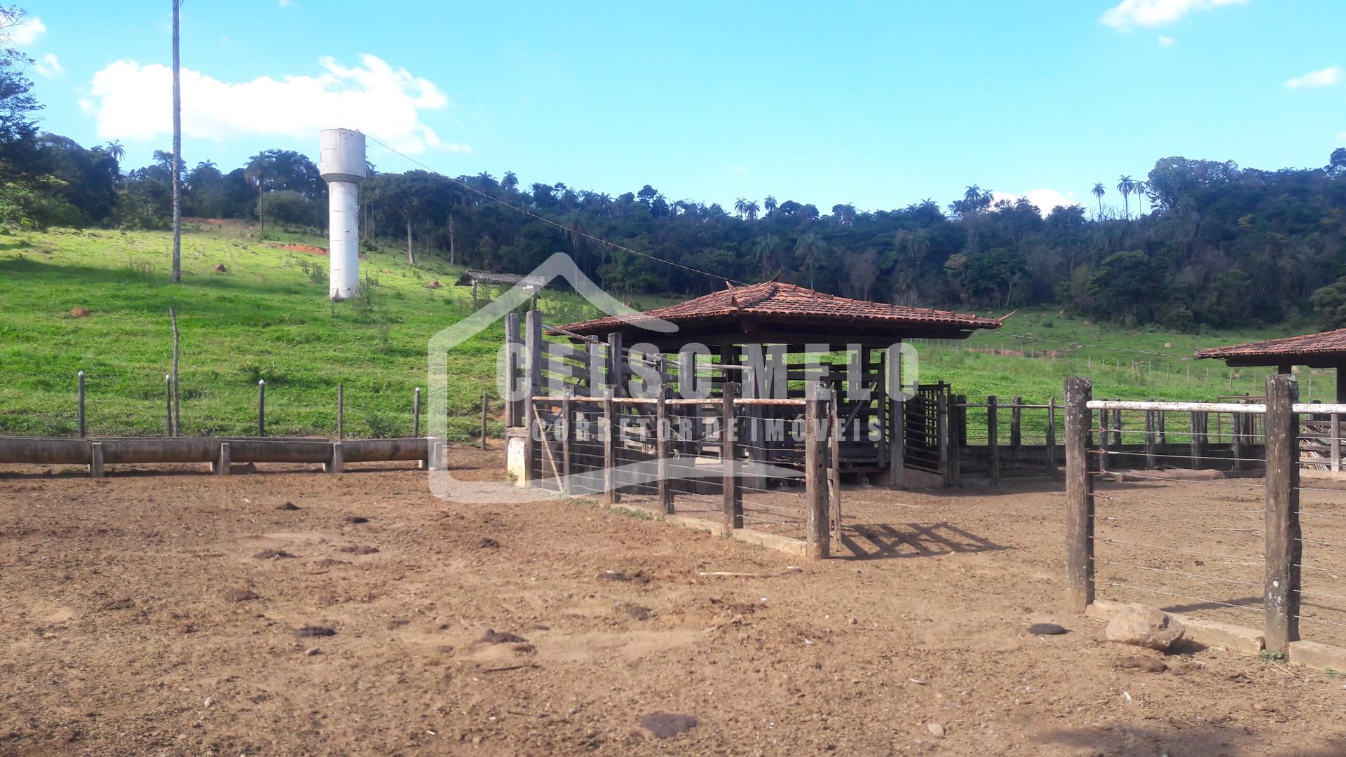 Celso Melo Corretor de Imveis em Bom Despacho