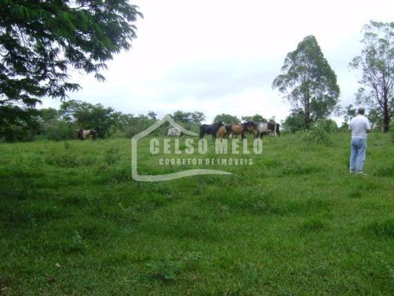 FAZENDA A 7 Km DE INIMUTABA MG