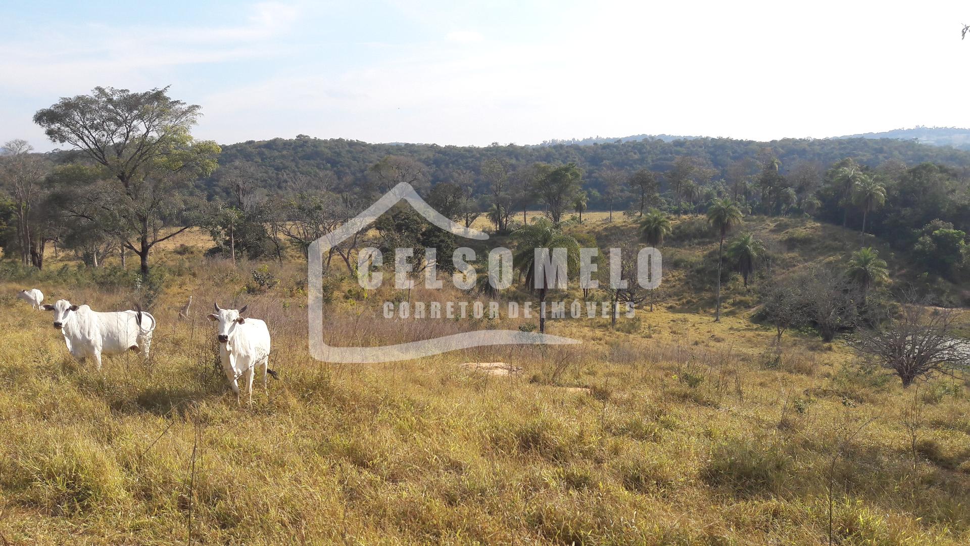 Celso Melo Corretor de Imveis em Bom Despacho