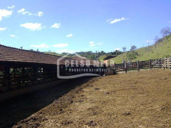 Celso Melo Corretor de Imveis em Bom Despacho