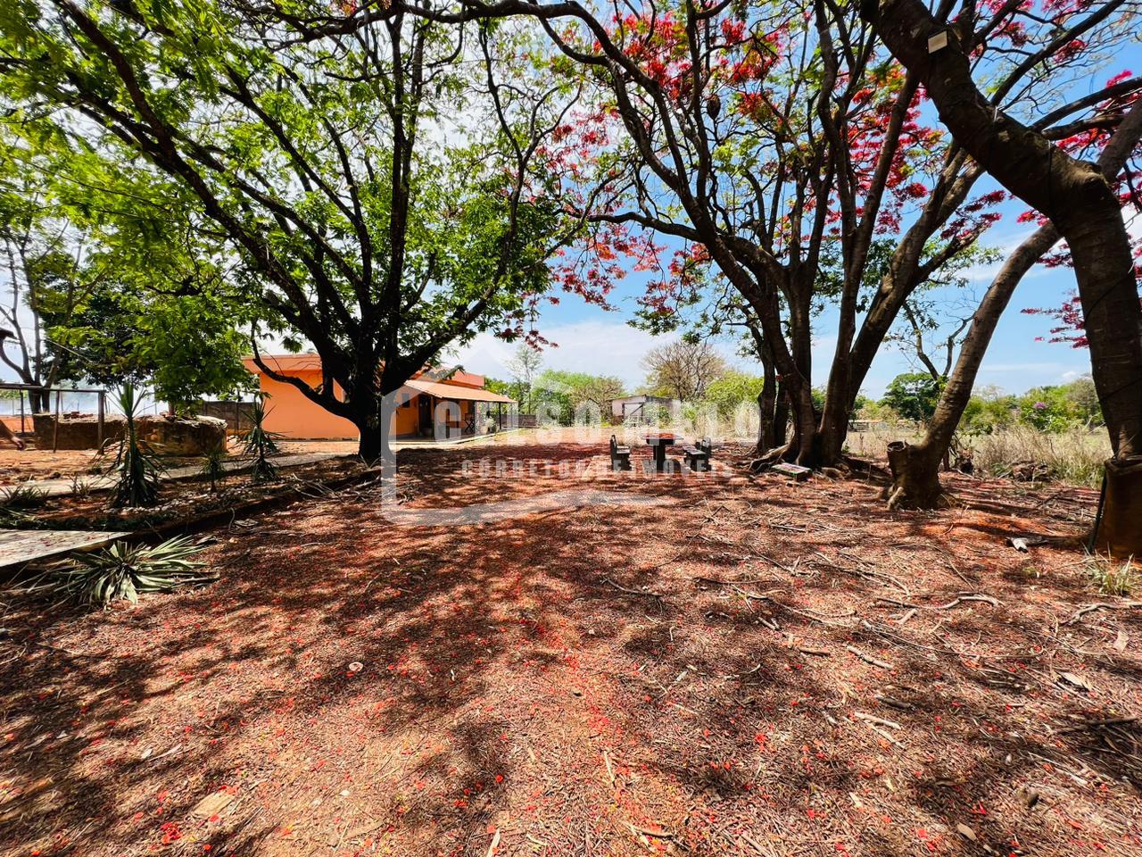 Celso Melo Corretor de Imveis em Bom Despacho