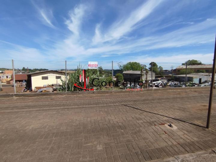 Terreno à venda, SÃO VICENTE, PATO BRANCO - PR