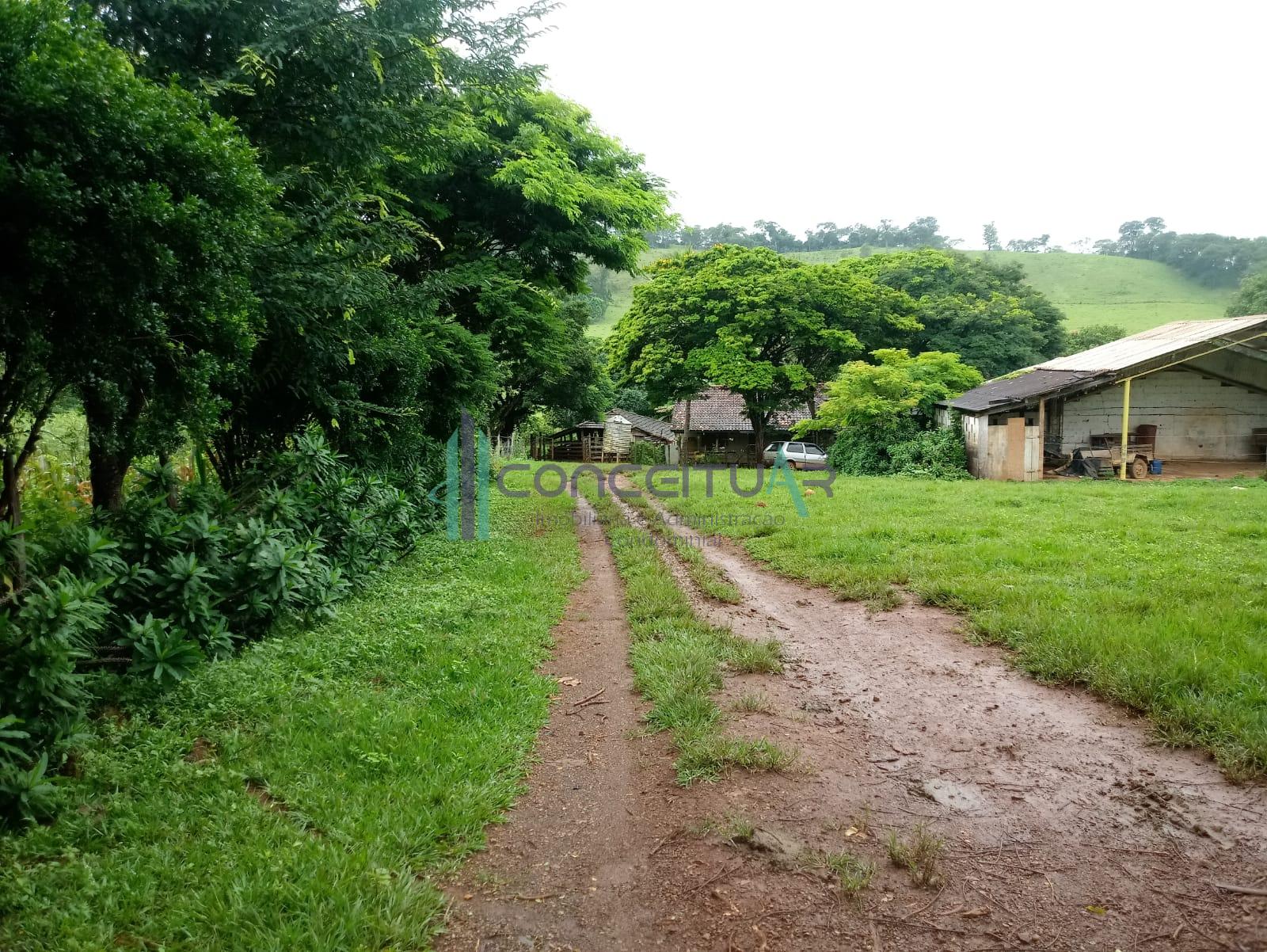 Stio  venda, 8,5ha, com casa sede e curral, Manga, PAINS - MG