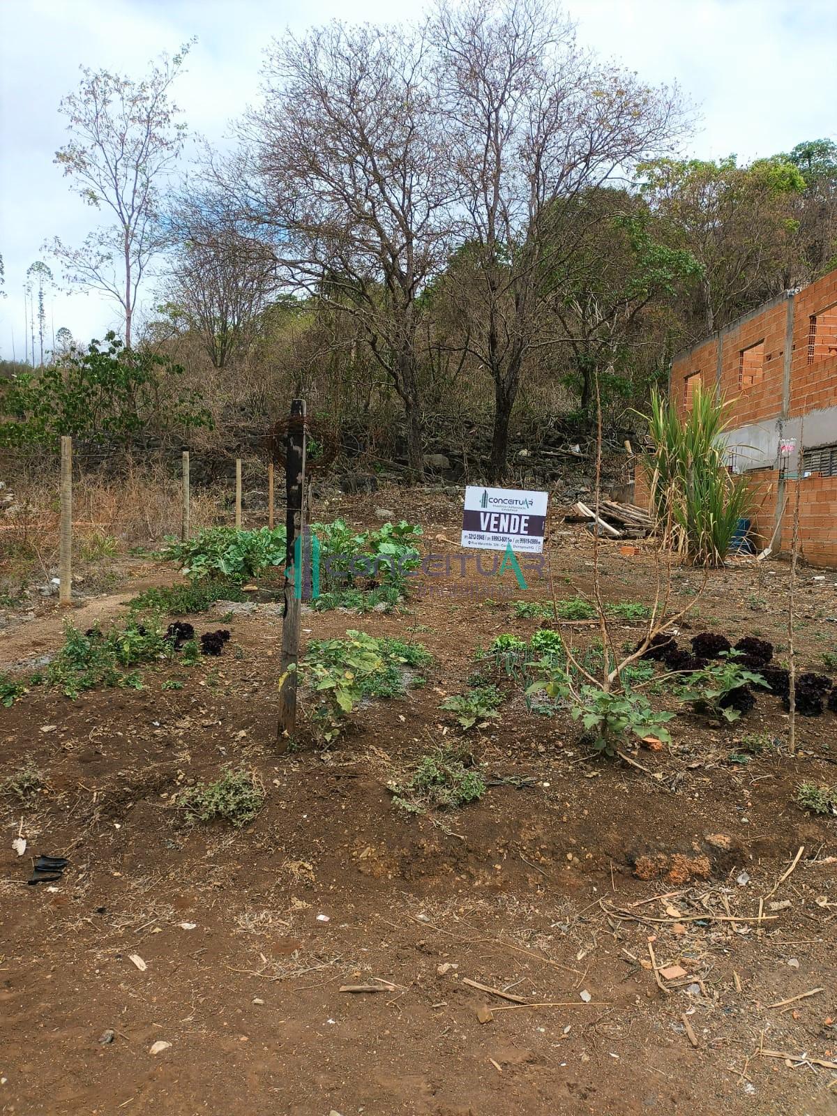 Lote  venda com excelente localizao, ALVORADA, PAINS - MG.