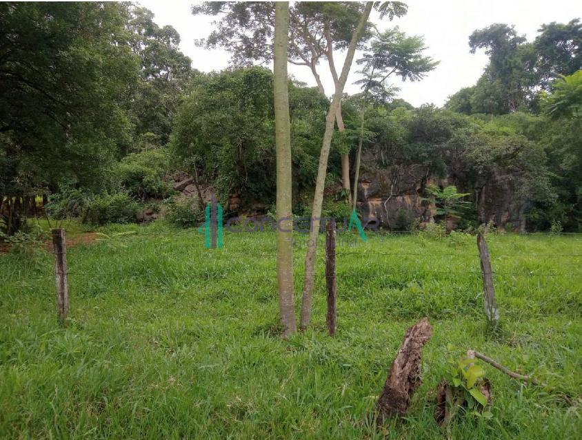 DIREITO MINERRIO  VENDA EM  PAINS MG - JAZIDA DE CALCRIO COM 434,59 HECTARES