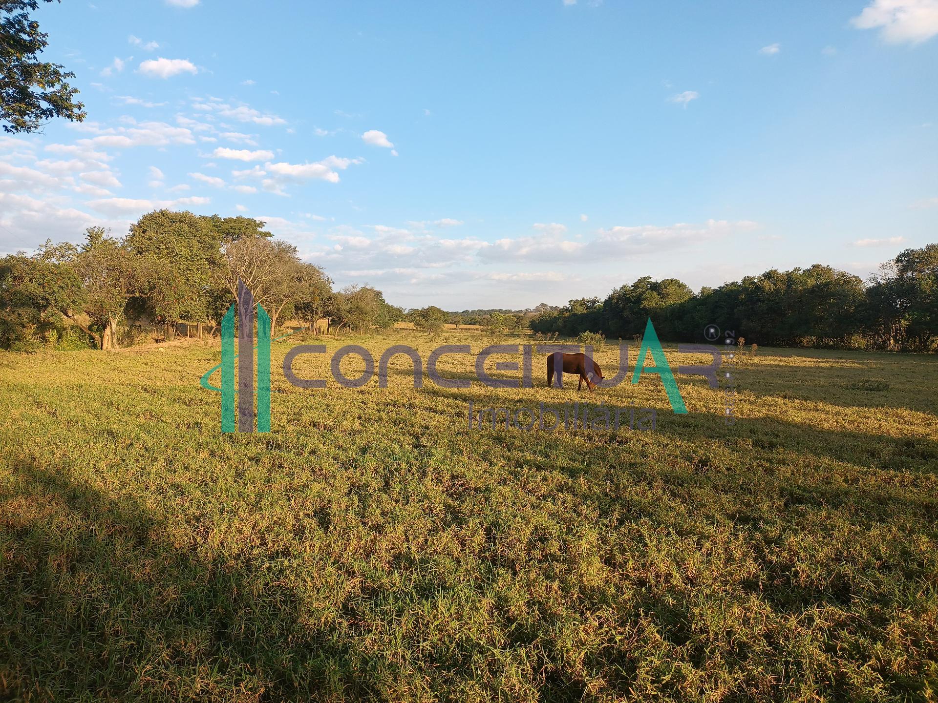 FAZENDA  VENDA DE 35 HECTARES COM DUPLA APTIDO, ZONA RURAL, ARCOS MG.