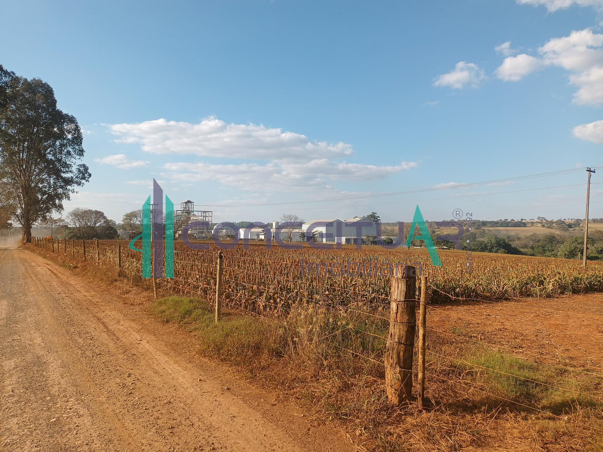 FAZENDA DE 58 HECTARES COM DUPLA APTIDO, ZONA RURAL, ARCOS MG.