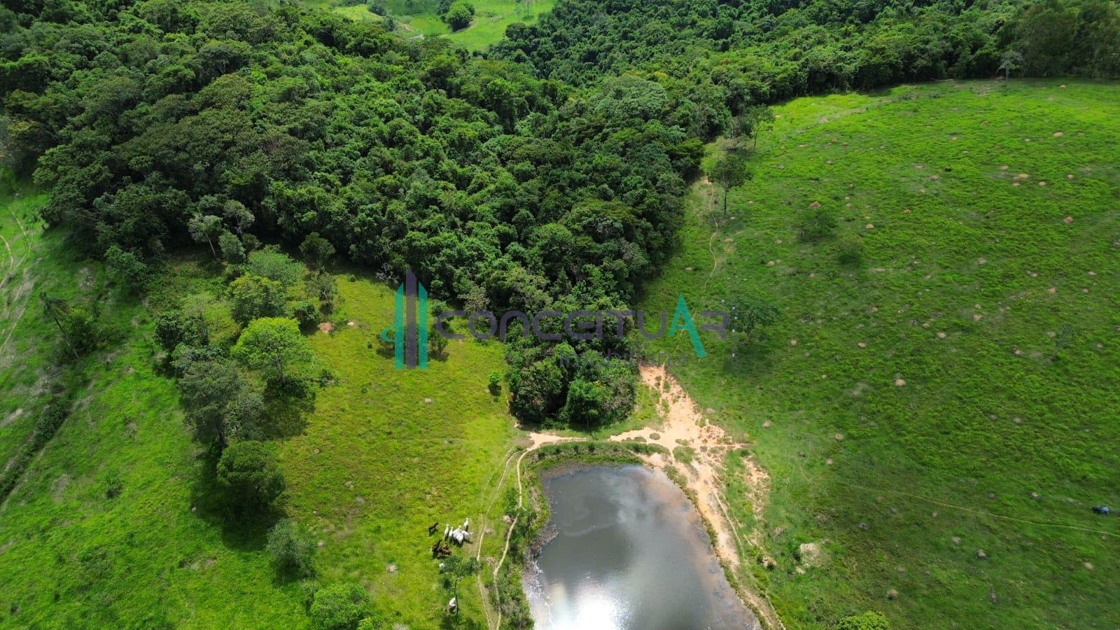 Excelente fazenda  venda com 128 hectares, ZONA RURAL, PEDRA DO INDAIA - MG, prxima  MG 050.