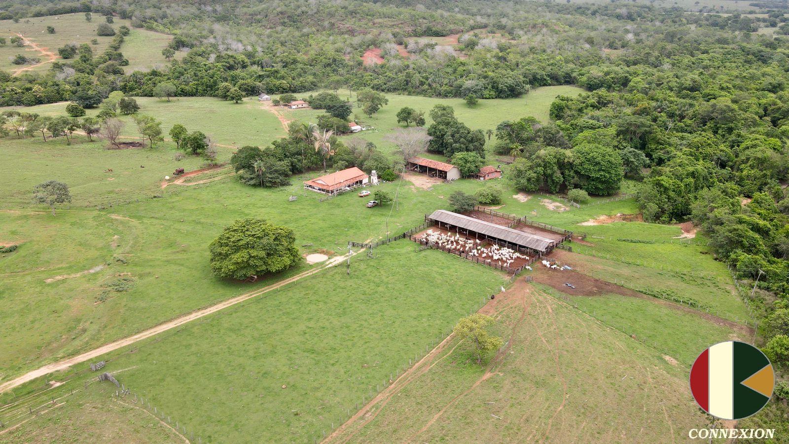 FAZENDA A VENDA C/ 8030 HECTARES NA REGIAO DE NOVO SAO JOAQUIM...