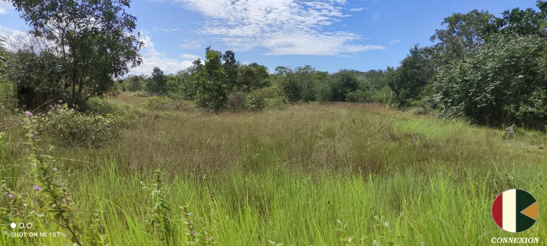 FAZENDA A VENDA C/ 42.800 HECTARES NA REGIAO DE COCALINHO-MT