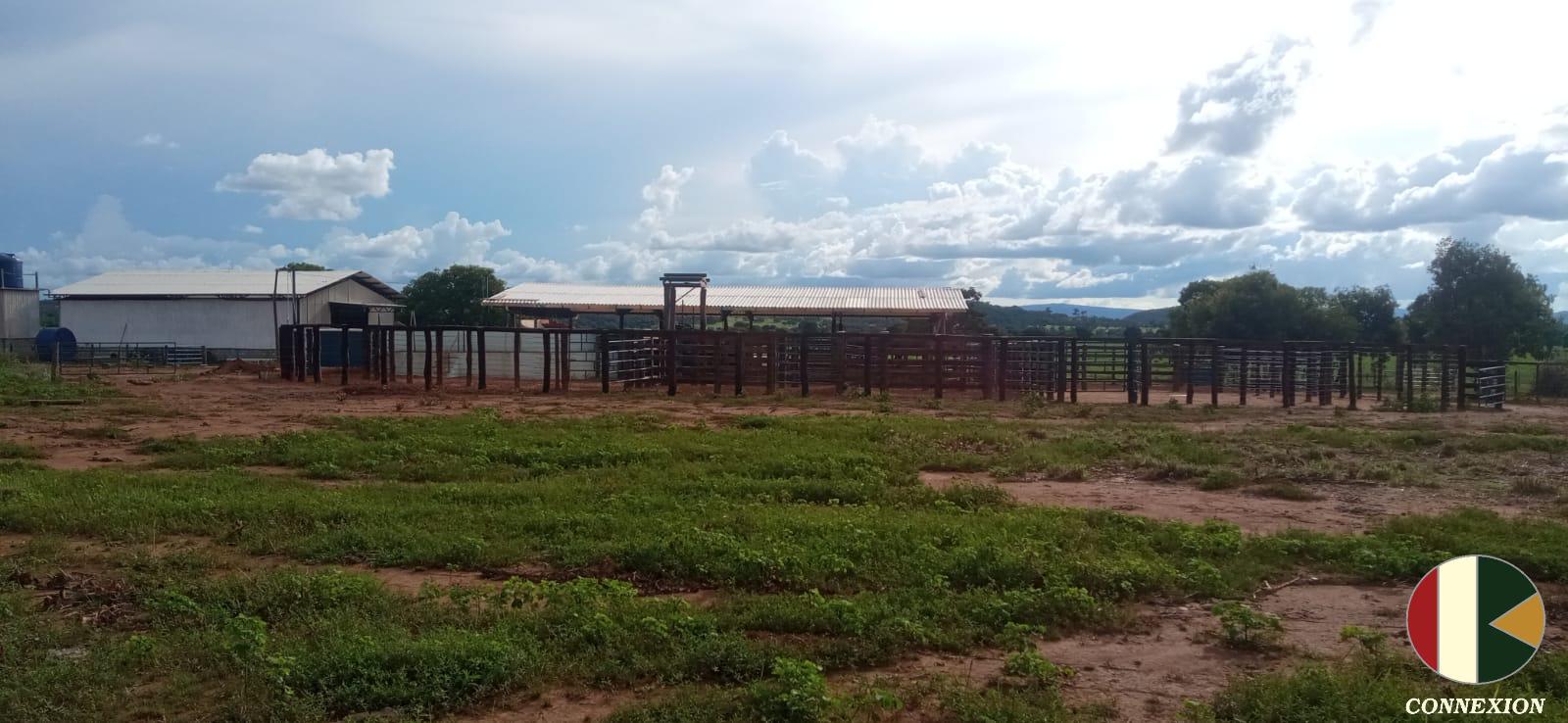 FAZENDA A VENDA C/ 204 ALQUEIRES NA REGIAO DE NOVA GOIAS-GO